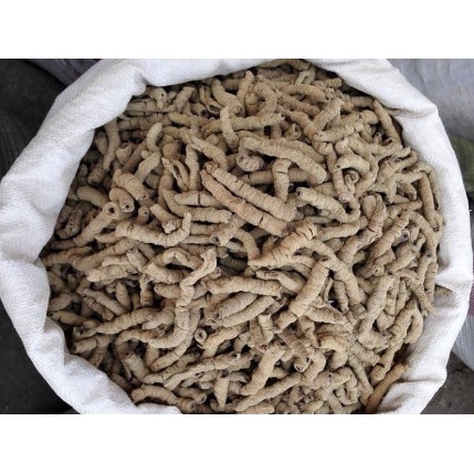 Ba Kích Tím khô, thơm