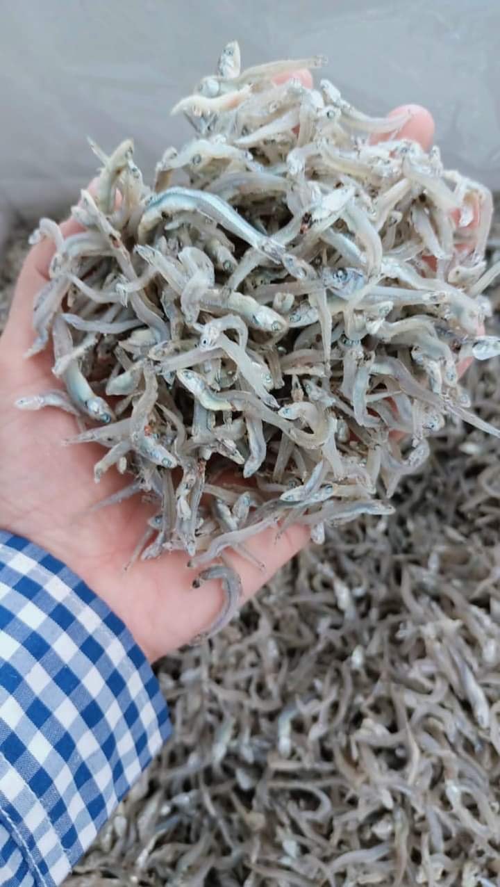 Cá cơm khô thành phố biển Quy Nhơn