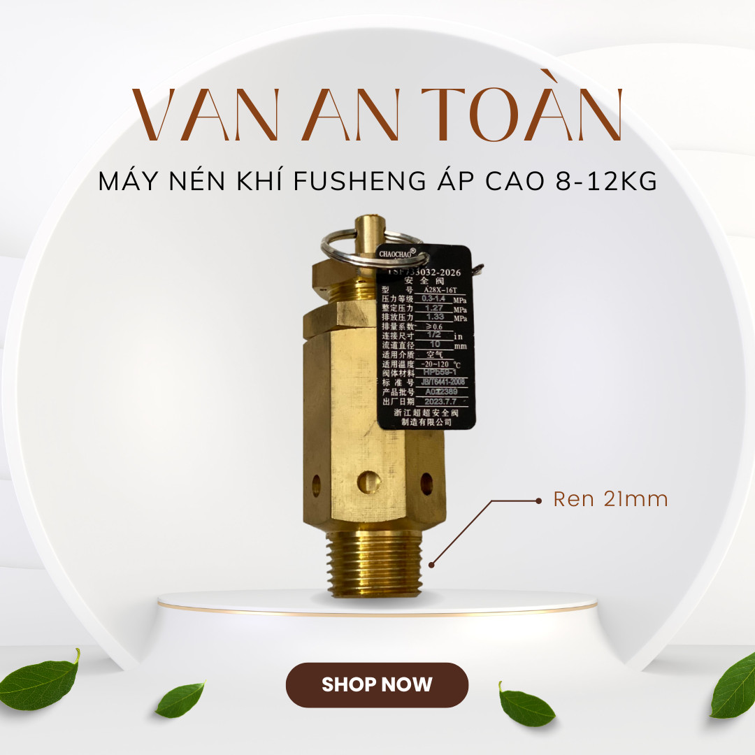 Van An Toàn Máy Nén Khí Fusheng Ren 21mm Áp Cao 8-12kg Cao Cấp