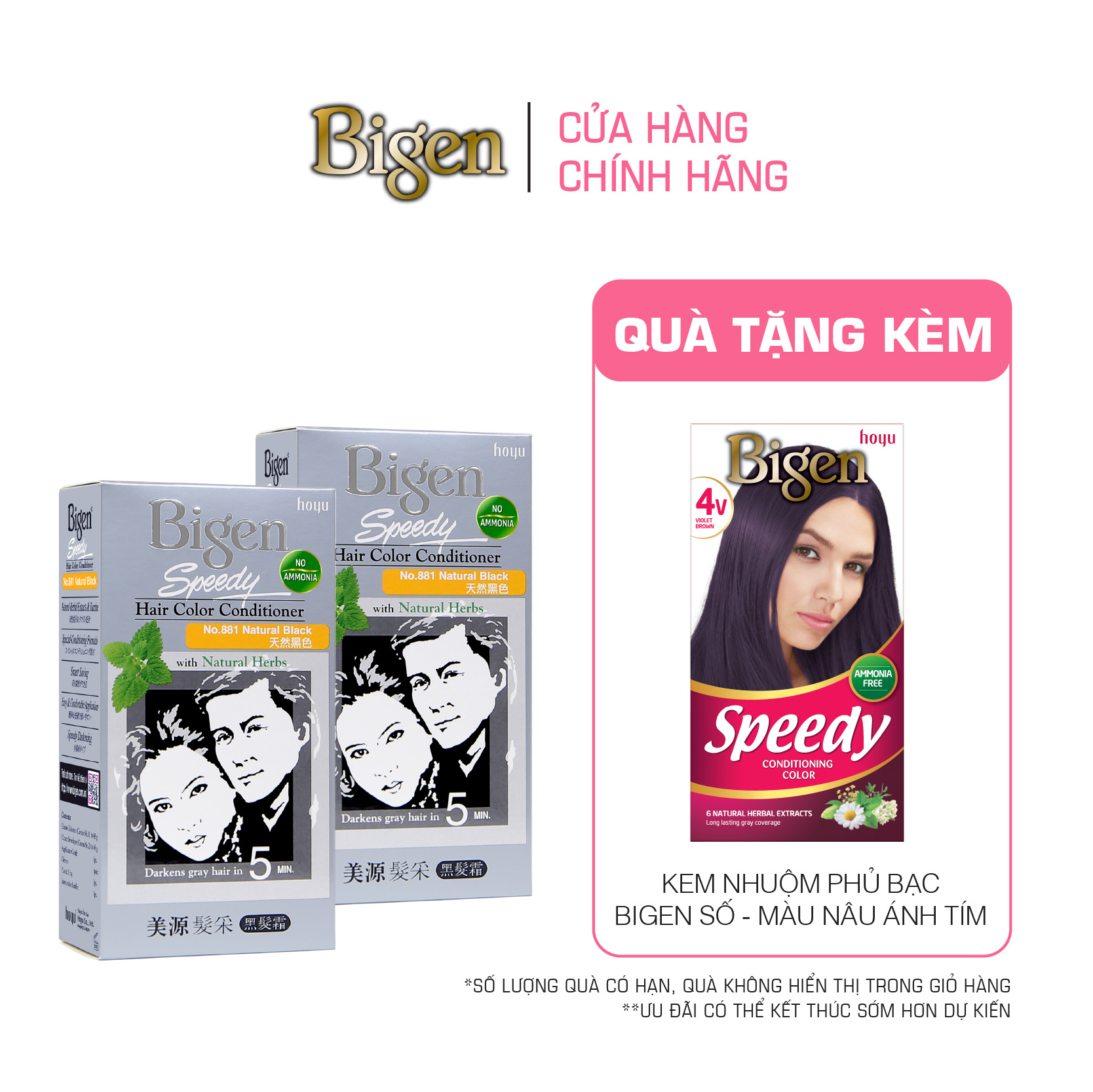 Combo 2 Thuốc Nhuộm Tóc Phủ Bạc Tại Nhà Bigen Xám - Phủ Bạc Thảo Dược, Dưỡng Tóc Mềm Mượt 80ml