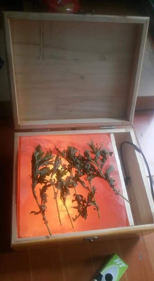 Đá muối xông chân