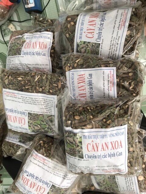 Trùm sỉ siêu rẻ 1kg cây an xoa đã sao khô