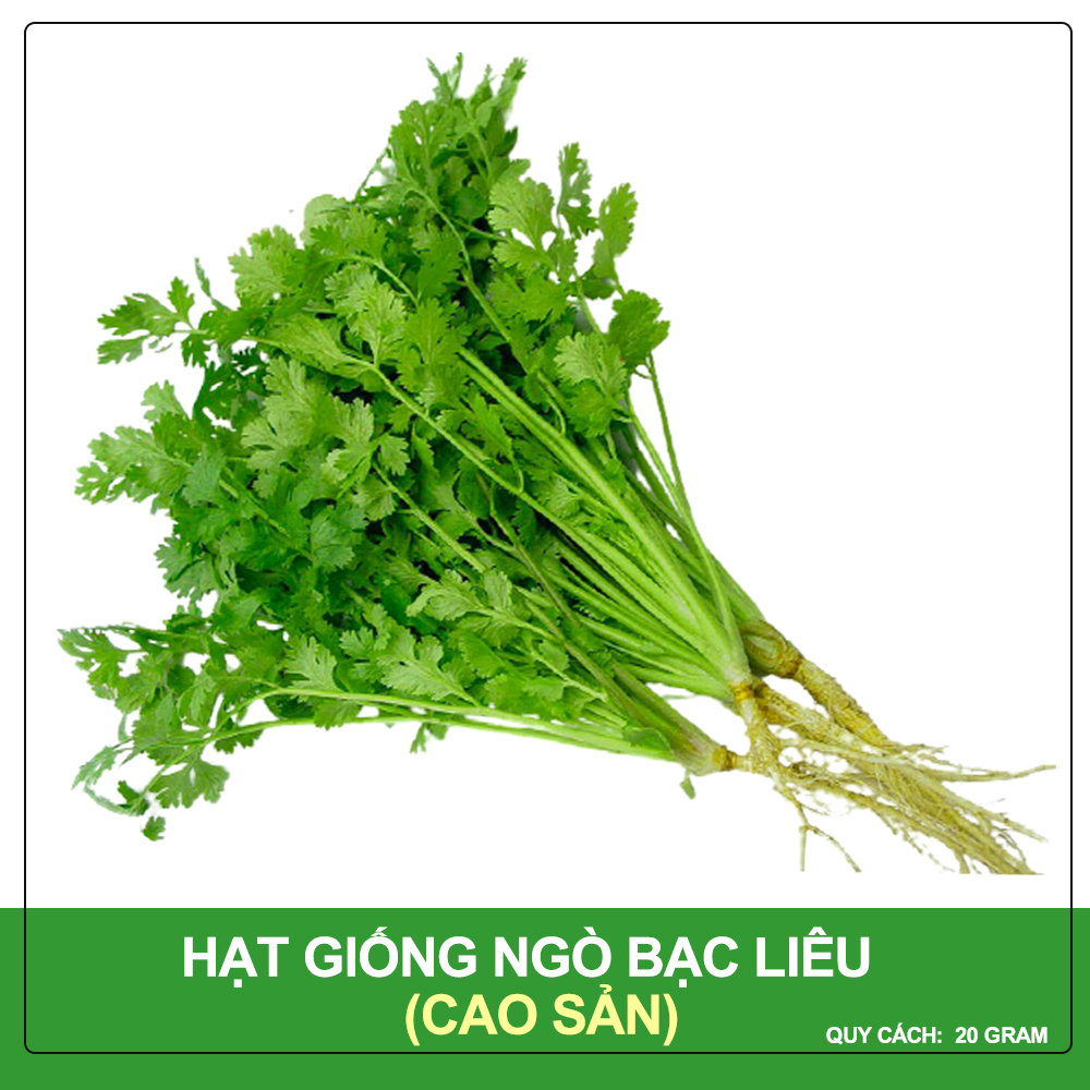 Hạt Giống Ngò Bạc Liêu Phú Nông Gói 20 Gram