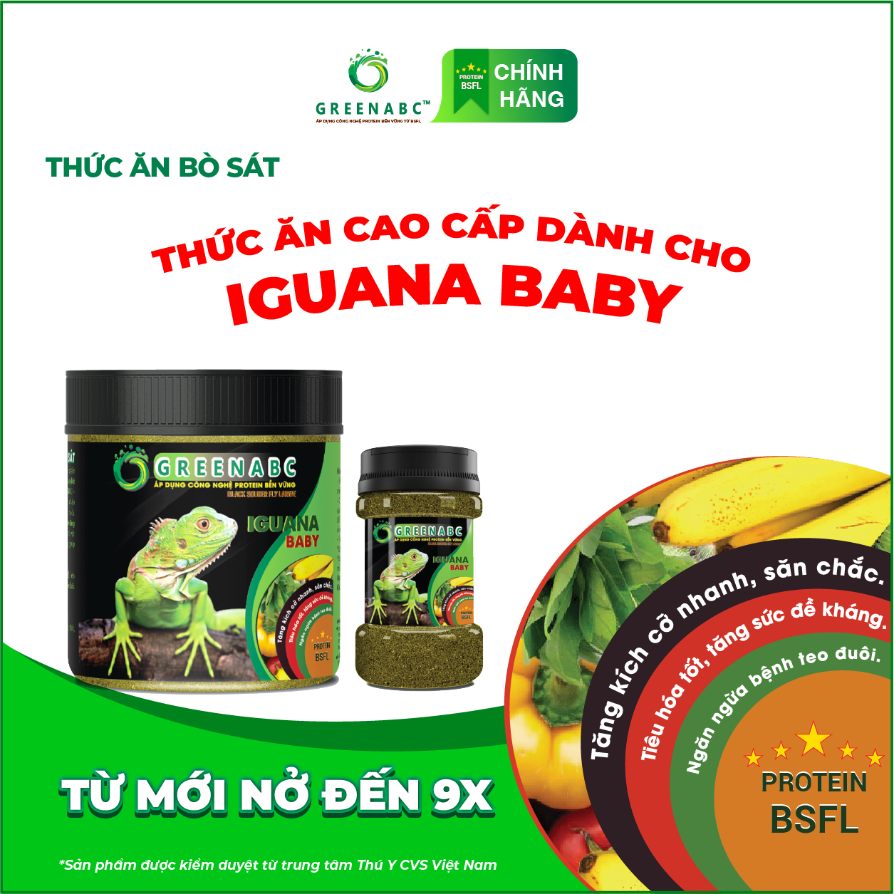 Thức ăn bò sát Iguana Baby - GREENABC dùng cho Rồng Nam Mỹ từ mới nở cho đến 9x giúp tăng kích thước, lên màu đẹp, phòng chống MBD, teo đuôi – Hộp 230g