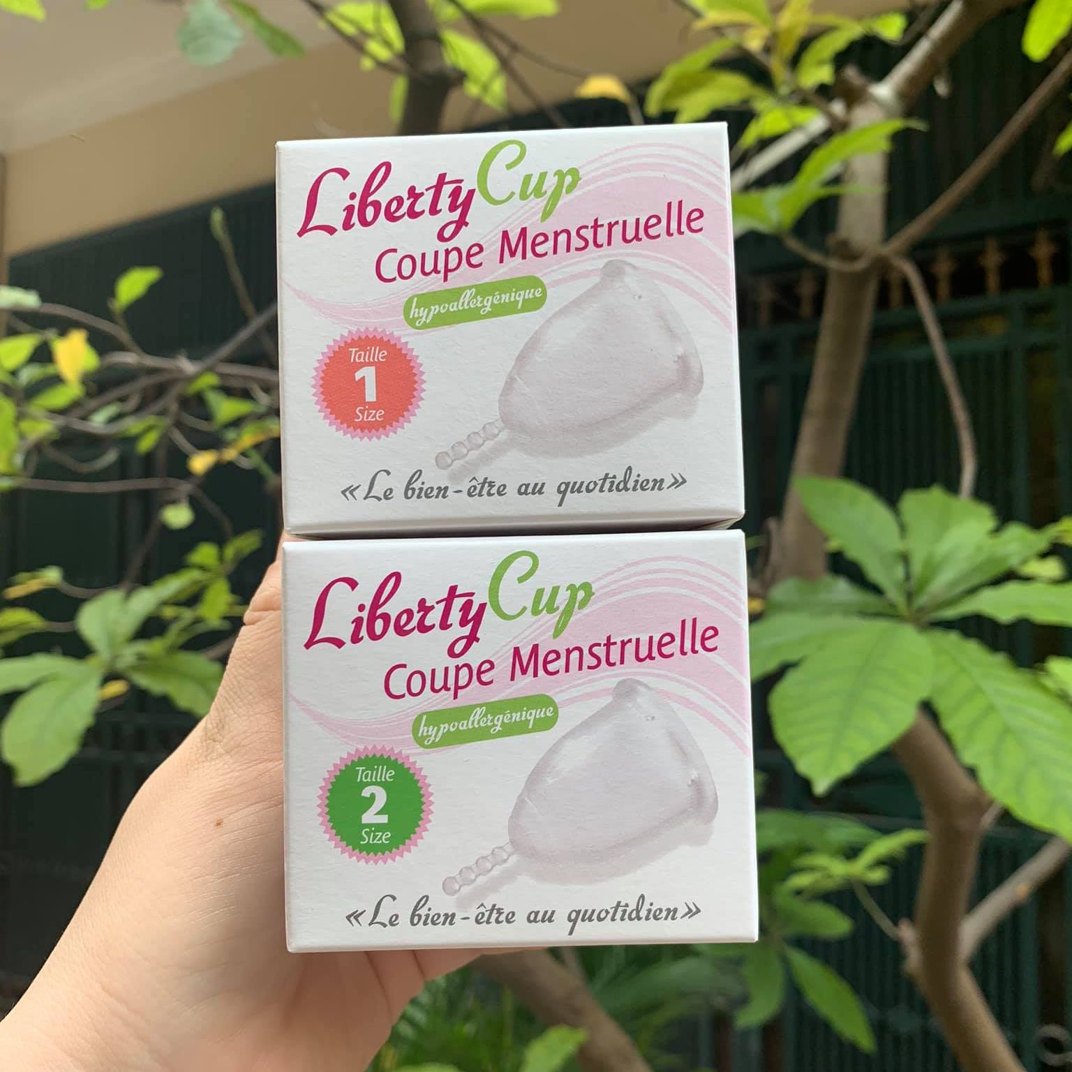 Cốc nguyệt san liberty cup - cns pháp