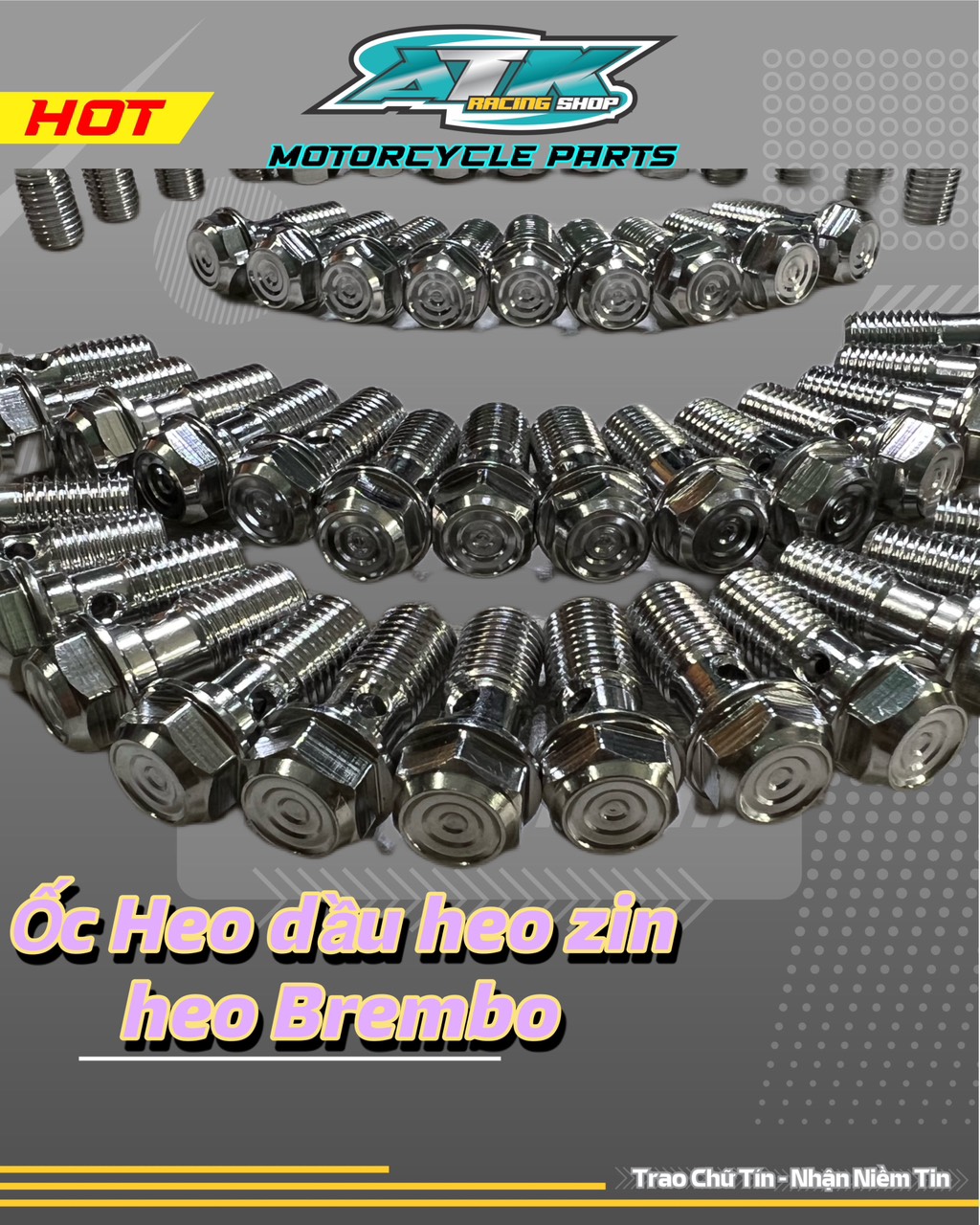 Ốc bắt heo dầu Salaya inox 304 bắt heo dầu Zin heo Nissin , heo Bcembo