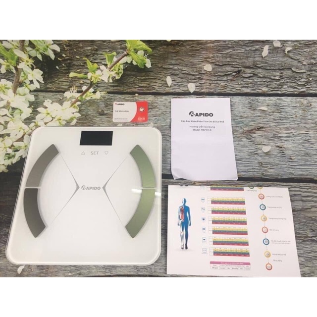 Cân sức khỏe Rapido phân tích chỉ số - loại vuông bluetooth RSB01-S