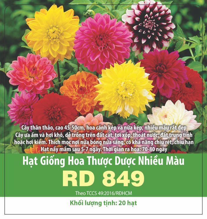 Hạt Giống Hoa Thược Dược Nhiều Màu Gói (0.1gr)