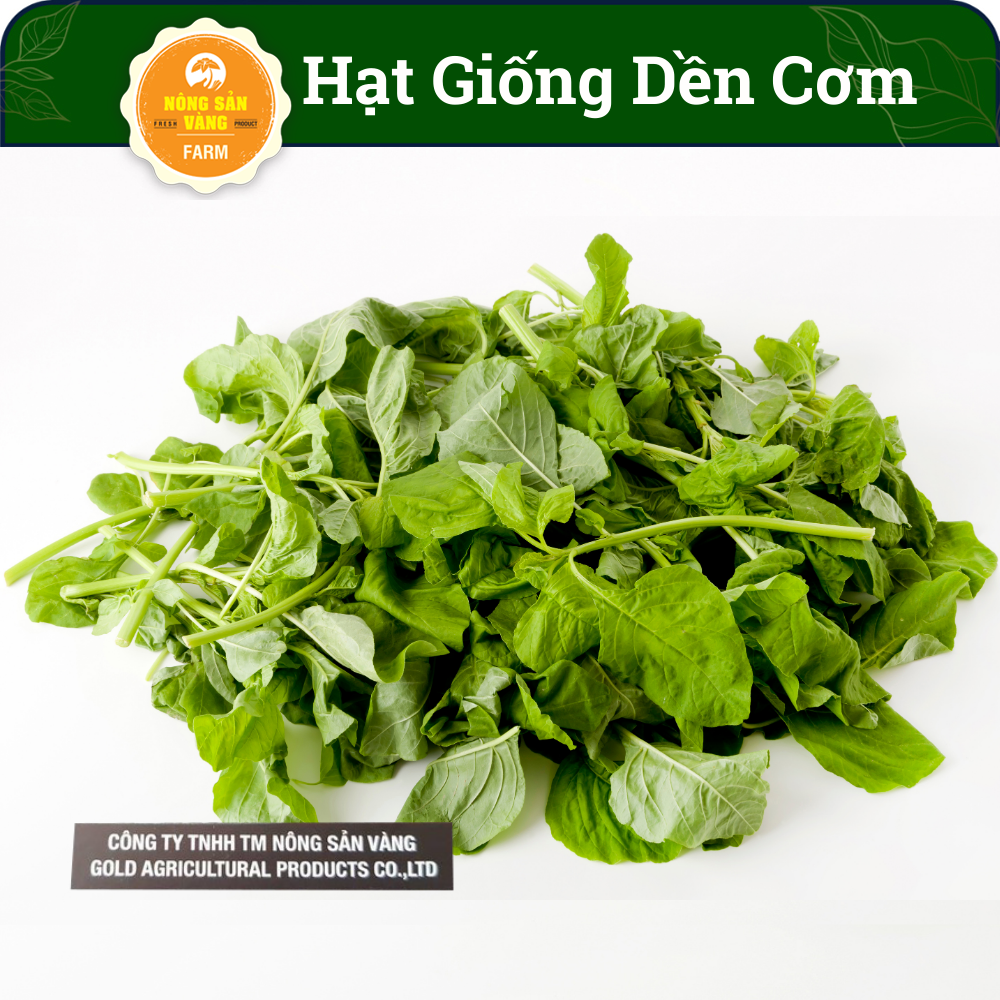 Hạt giống Rau Dền Cơm Tỉ Lệ Nảy Mầm Cao, Sinh Trưởng Và Phát Triển Khỏe, Năng Suất Cao (Gói 20 Gram) - Nông Sản Vàng