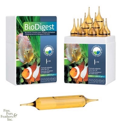 Probidio BioDigest- Bổ sung vi sung cho hồ cá ( đvị  ống), giúp ngăn ngừ sự lây lan các loại rêu hại, đặc biệt là rêu tóc