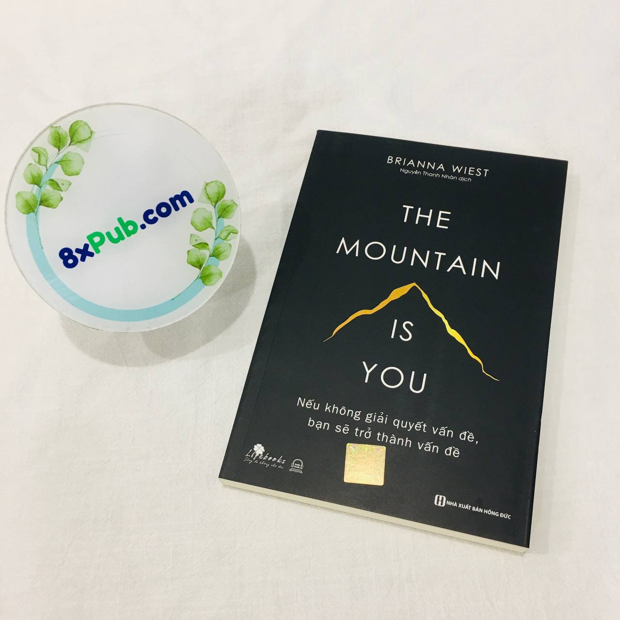 Sách - the moutain is you : nếu không giải quyết vấn đề bạn sẽ trở thanh vấn đề