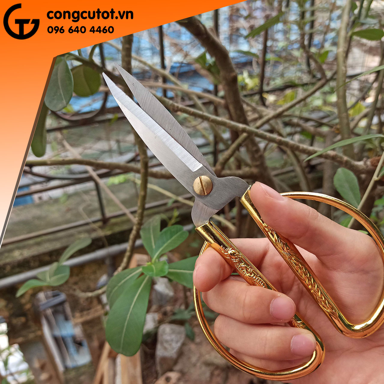 Kéo cắt tỉa cành - Kéo nhà bếp đa năng cán vàng rồng phượng 190mm