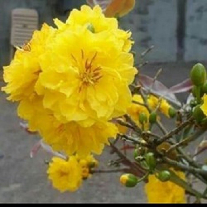 F0C8cwdcmTQO8i17qIpn_simg_d0daf0_800x1200_max.jpg