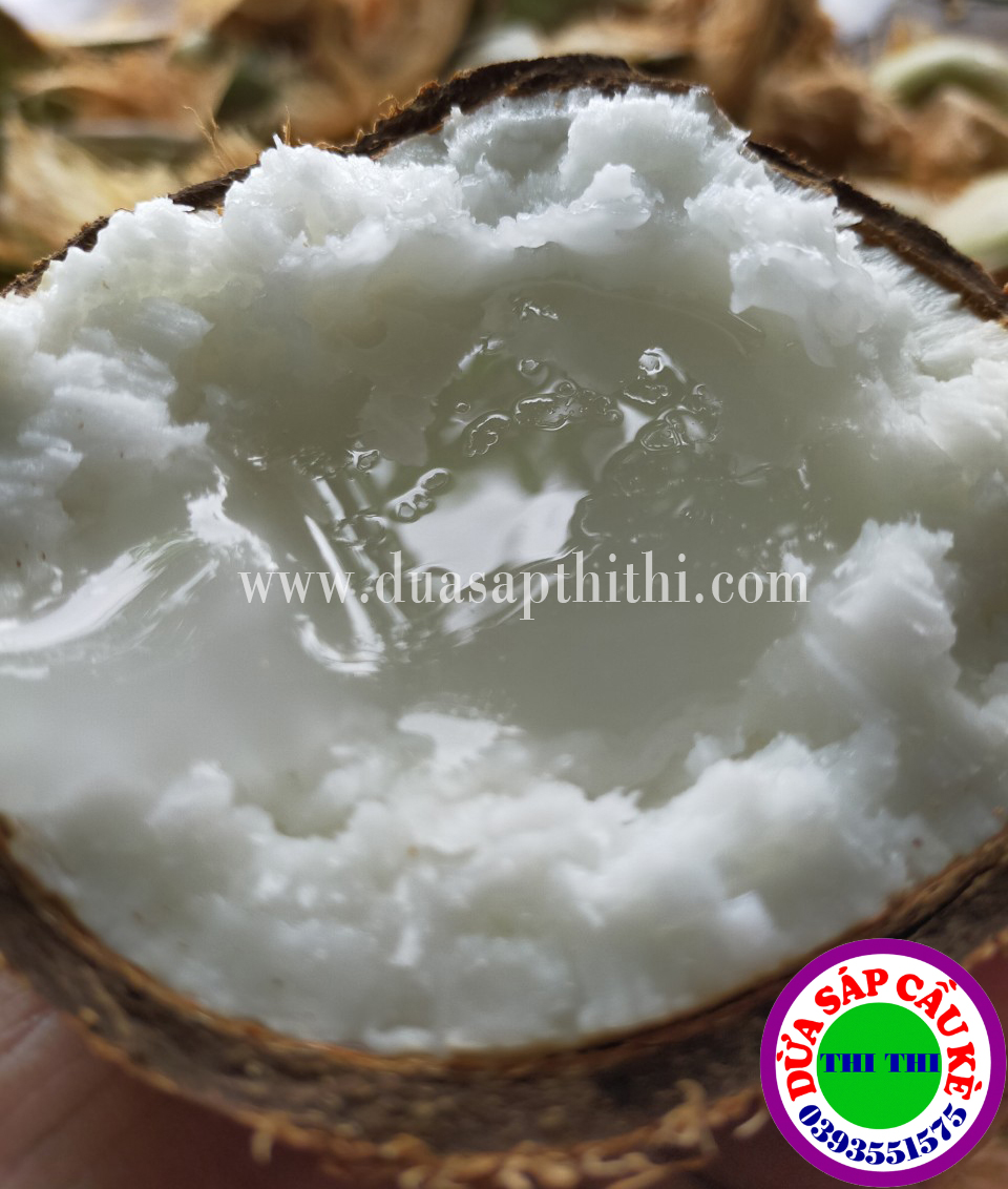 Dừa Sáp Cầu Kè Trà Vinh - Sáp Loại Ngon (Nhiều Loại)