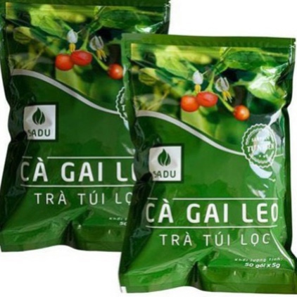 Trà túi lọc cà gai leo Sadu bich 1Kg