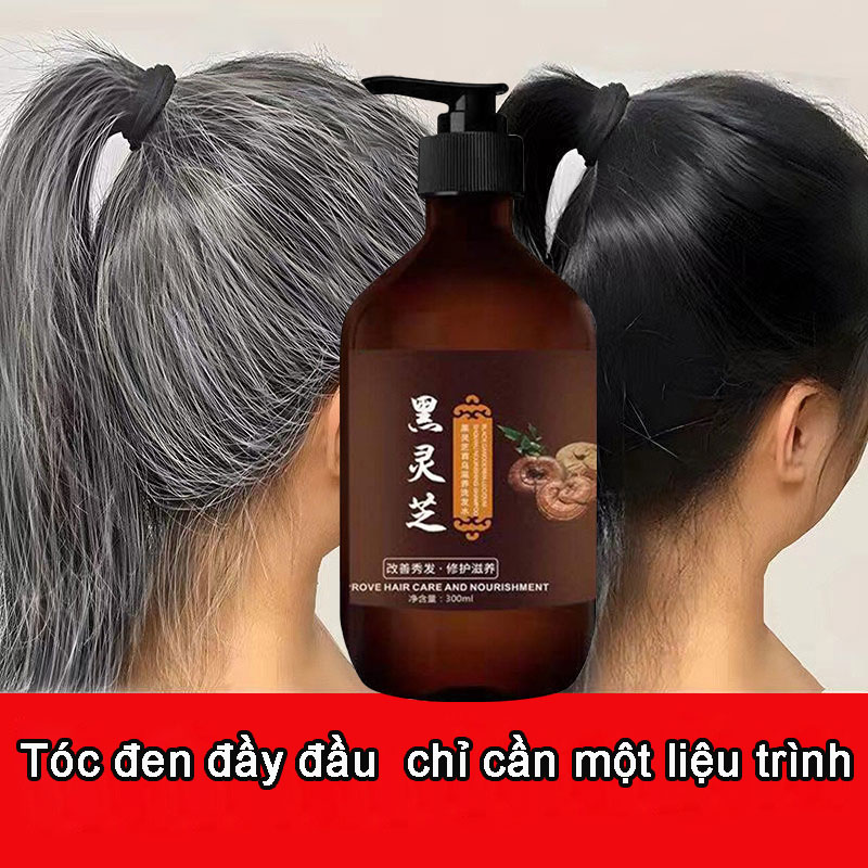 Dầu gội mọc tóc dầu gội chống rụng tóc dầu gội đen tóc Dầu gội thảo mộc thực vật dưỡng tóc tóc bạc thành đen 300ml không kích ứng