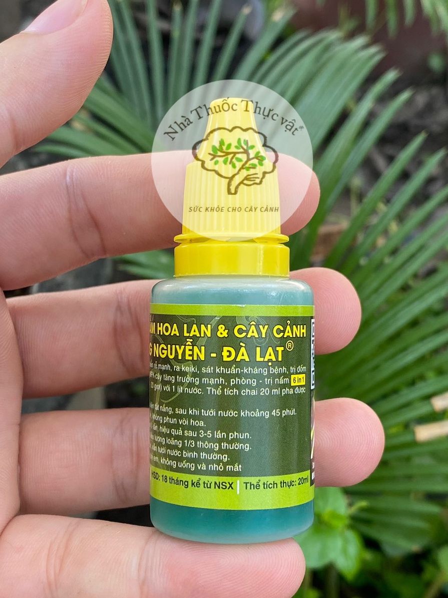 Hùng nguyễn chế phẩm Hoa lan 6 in 1 chai 20ml