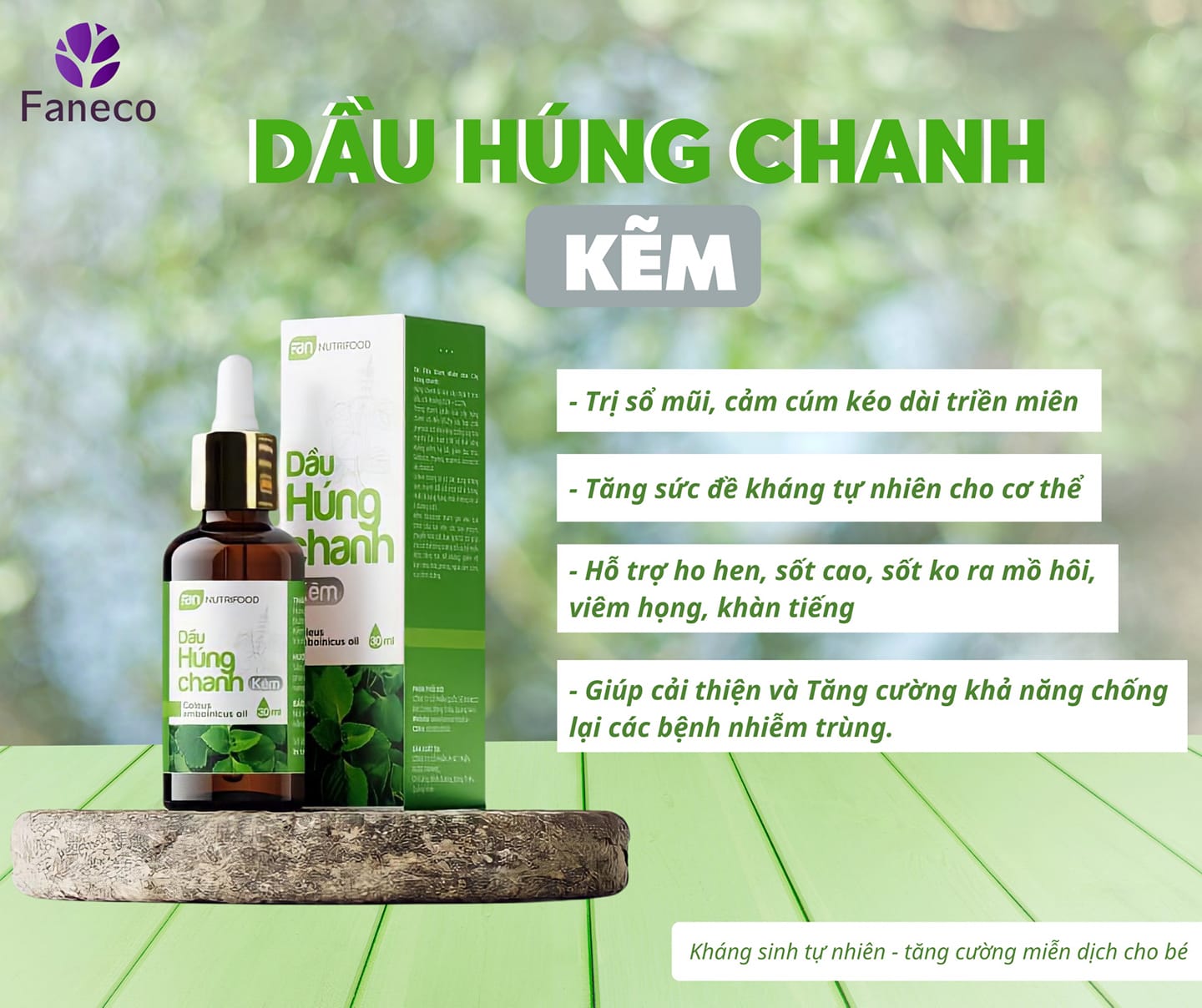 Dầu húng chanh kẽm