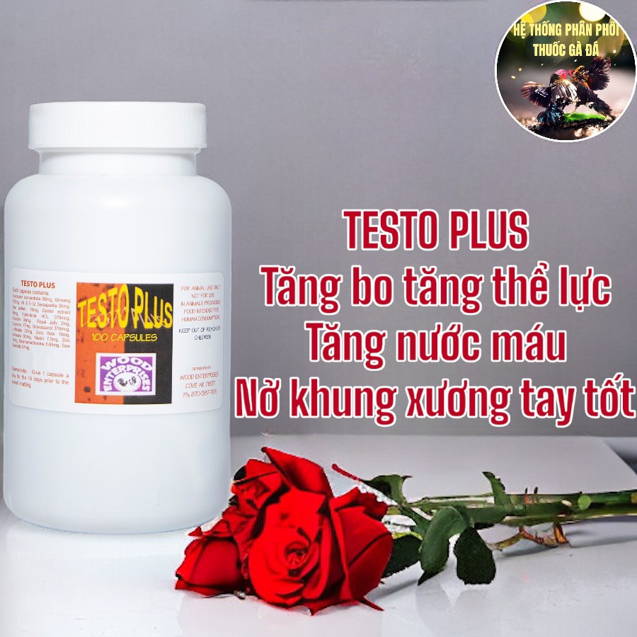 Thuốc gà đá testo plus nuôi gà chế độ đá, tăng lực cho gà đá