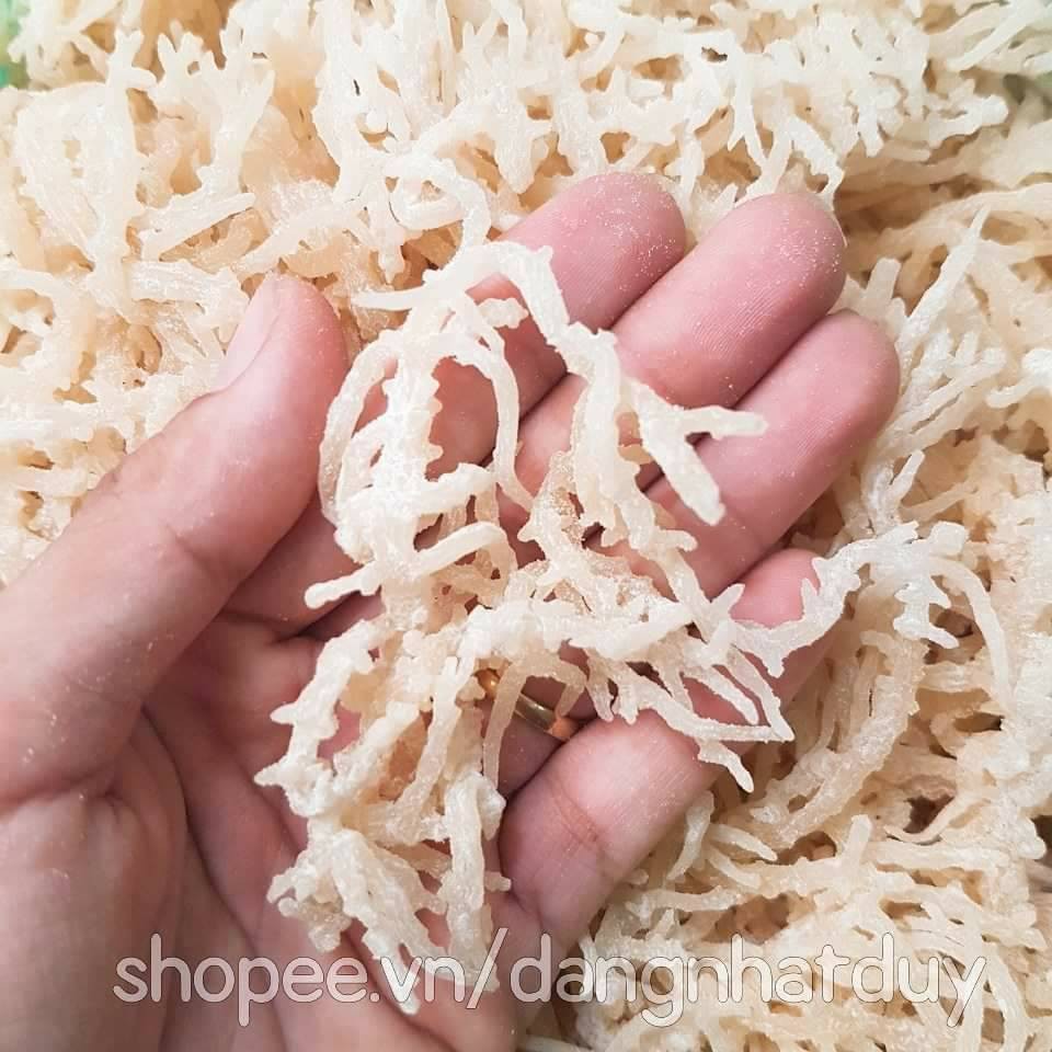 Rong sụn/ rong biển