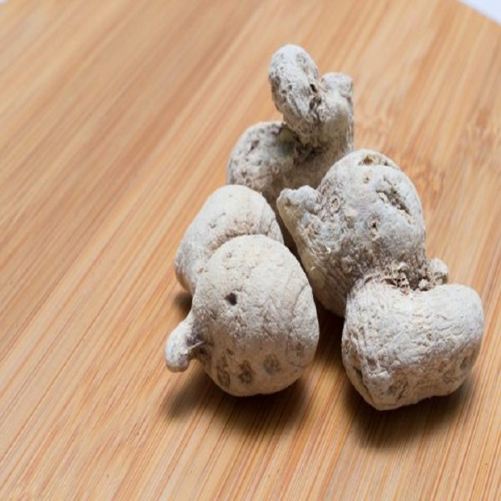 Cây tam thất nam giống chuẩn * Cây Trồng Việt ^^