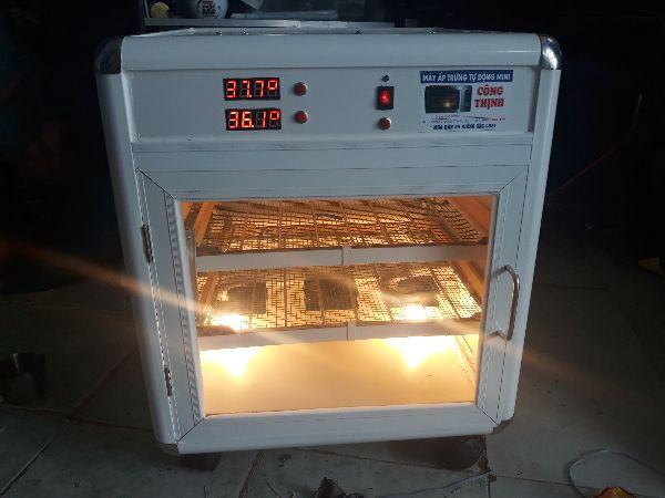 Máy ấp trứng tự động mini công thịnh