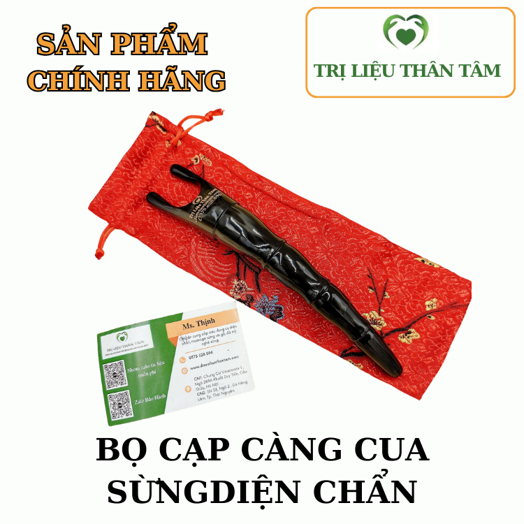 Bọ cạp sừng châu châu phi - càng cua giải cơ