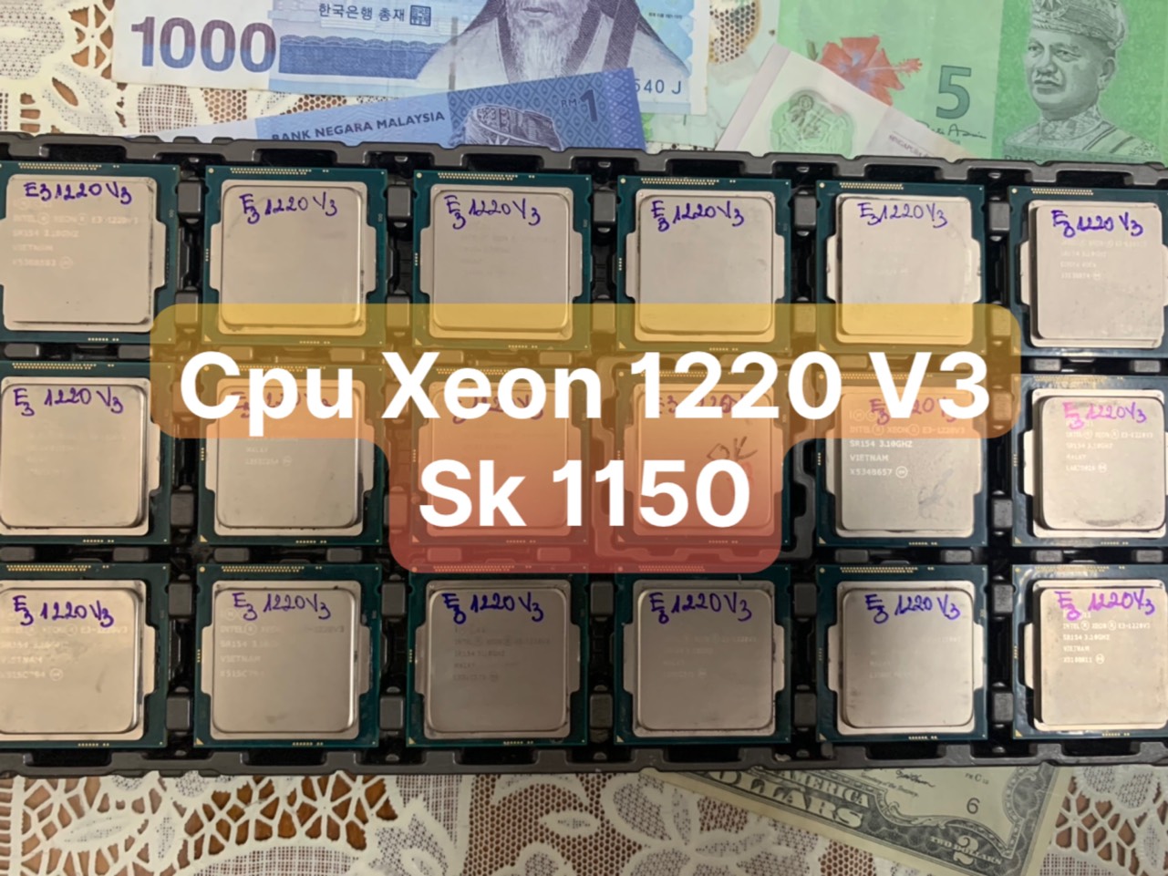 [HCM]Cpu bộ vi xử lý Chip Xeon 1220 V3 SK 1150 - Vi Tính Bắc Hải