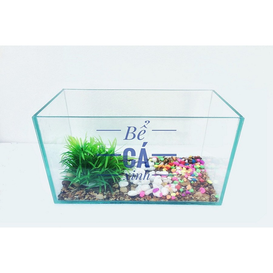 Bể cá mini 3018 kèm lọc thác mini
