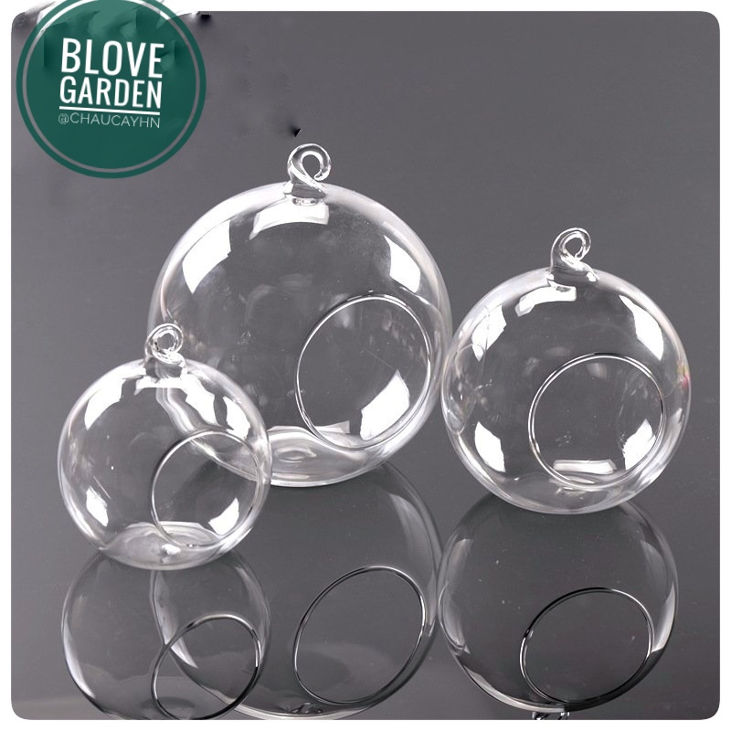 Bình thủy tinh tròn 8cm :cactus: trồng tiểu cảnh, cây thủy sinh, bình thủy tinh nuôi cá đẹp, làm Terrarium