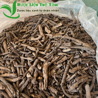 Sâm tiên mao - Sâm cau đen - Loại sấy khô cao cấp của công ty - Gói 500gr