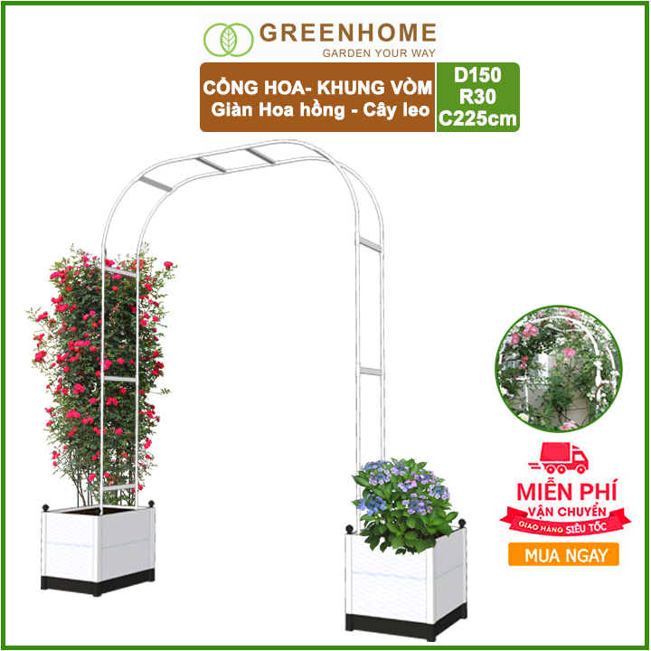 Cổng vòm, khung hoa d150xr30xc225cm - gìàn hoa hồng, các loại cây hoa leo - daim nhật bản