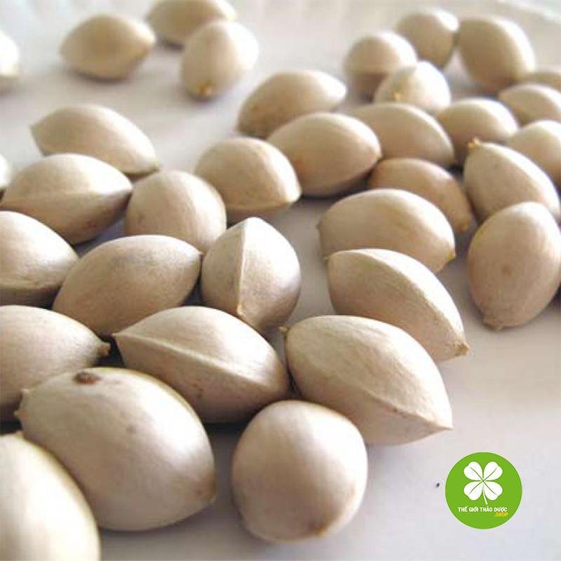 Bạch quả - td113