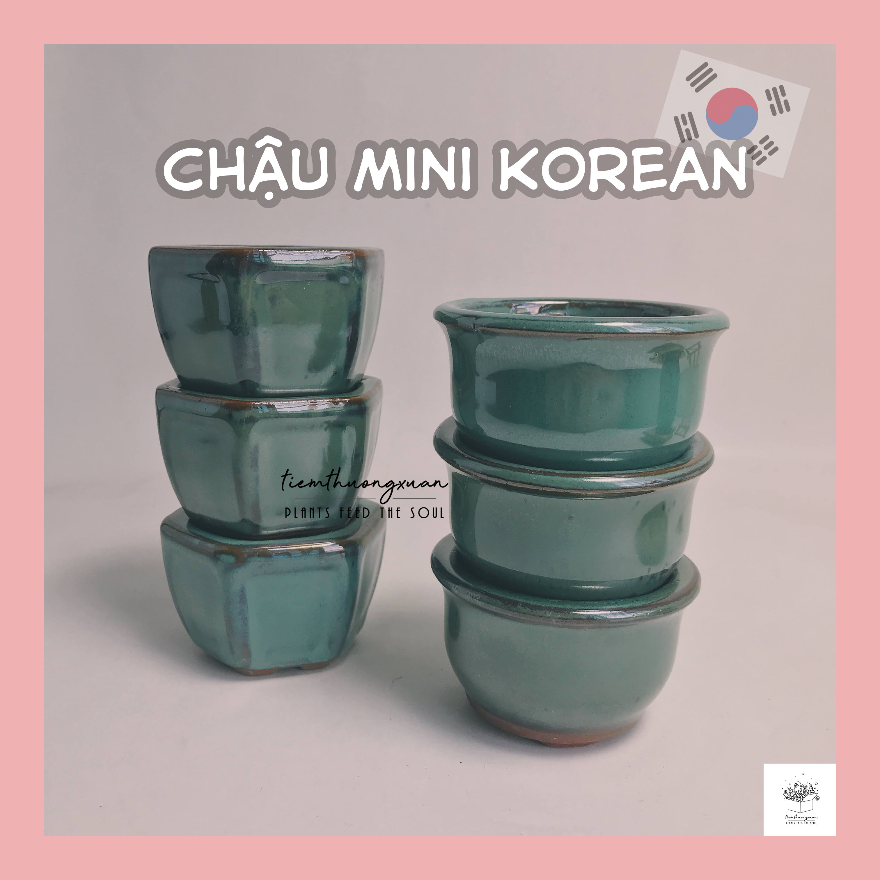 Chậu trồng cây cảnh, sen đá, sen đá mini, hạt giống - Chậu gốm mini Hàn Quốc - Trang trí cây, xương rồng, quà tặng sinh nhật nữ, decor vintage  - Tiệm Thường Xuân