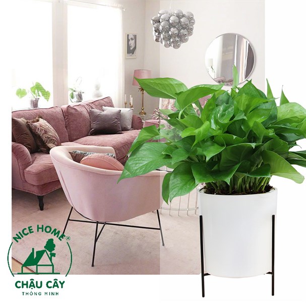 Chậu cây tự dưỡng thông minh- TA03 Iron