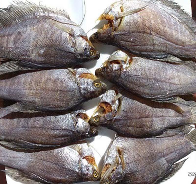 500g KHÔ CÁ LÒ THO (SẶC RẰN) LOẠI NGON, ĂN KHÔNG BỊ MẶN. ĐẶC SẢN TRÀ VINH