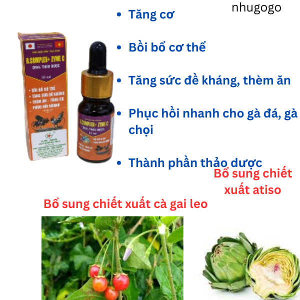 Bcomplex B complex zyme C 10ml sumi tăng lực, tâng cơ, và hỗ trợ tiêu hoá cho vật nuôi