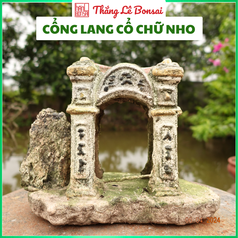 Cổ Làng Cổ Chữ Nho - Tiểu Cảnh Ký Ghép Cây