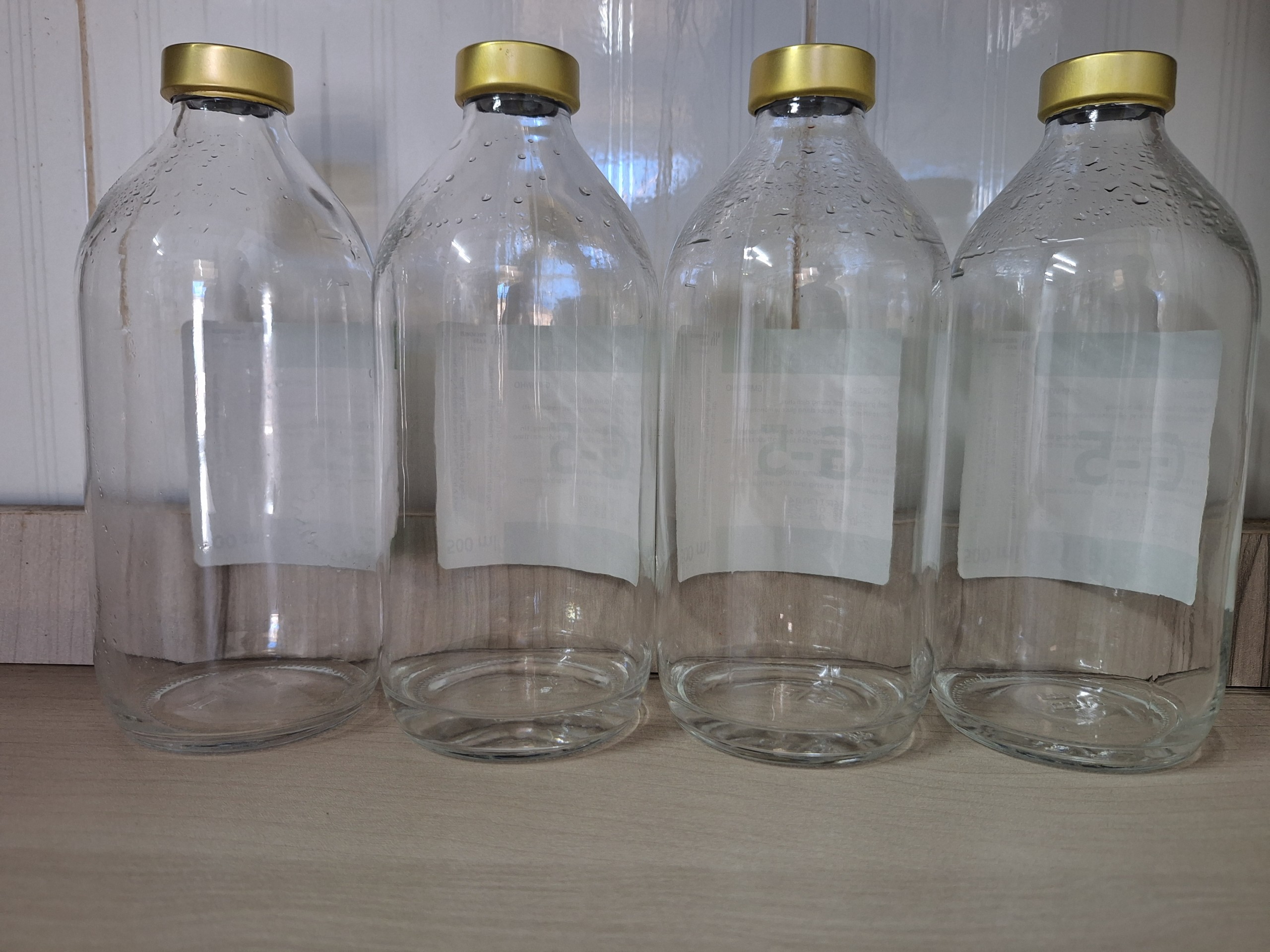 Chai nước biển thủy tinh COMBO 10 CHAI dành cho nuôi cá betta lia thia 500ml