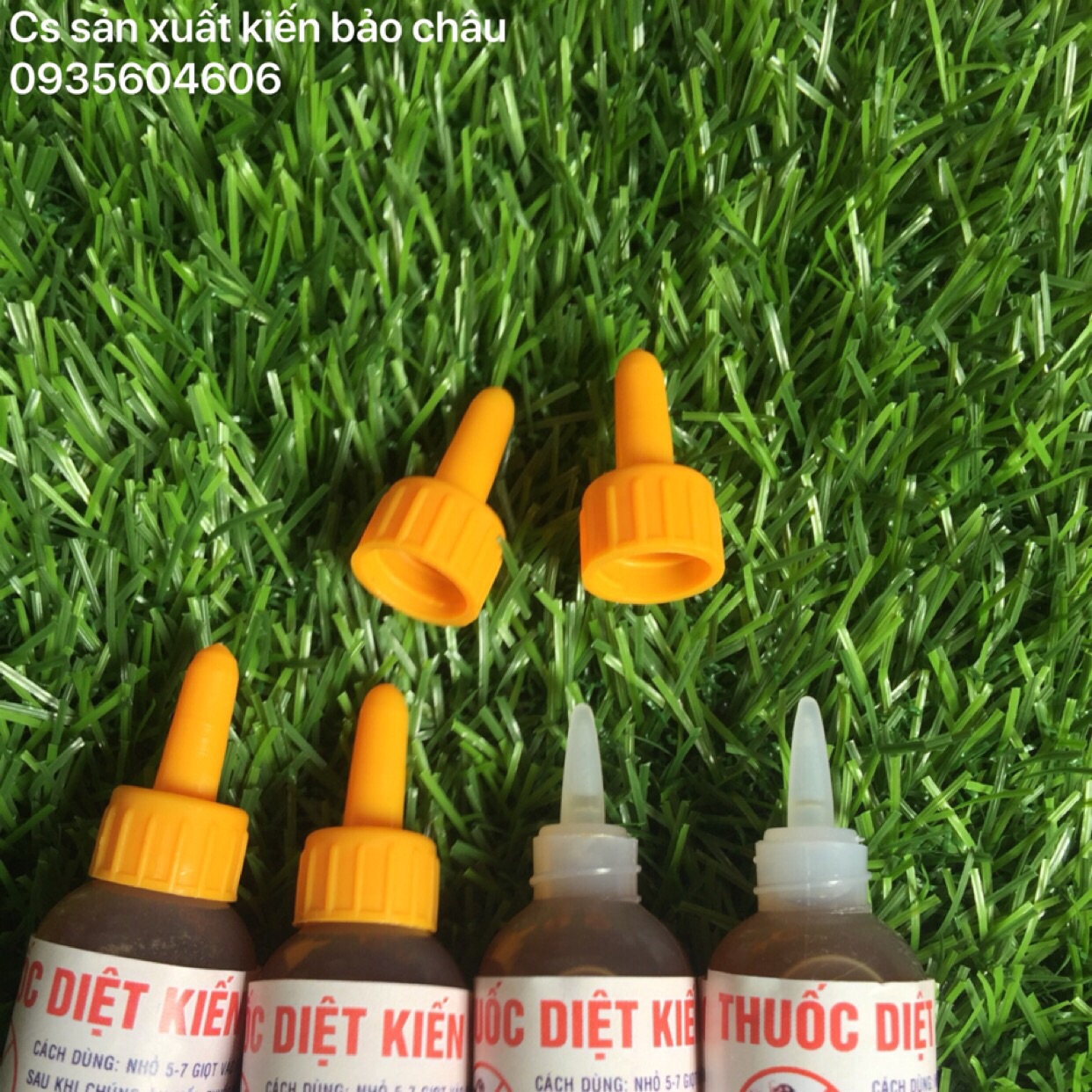 Combo 4 lọ thuốc diệt kiến gián sinh học Bảo Châu