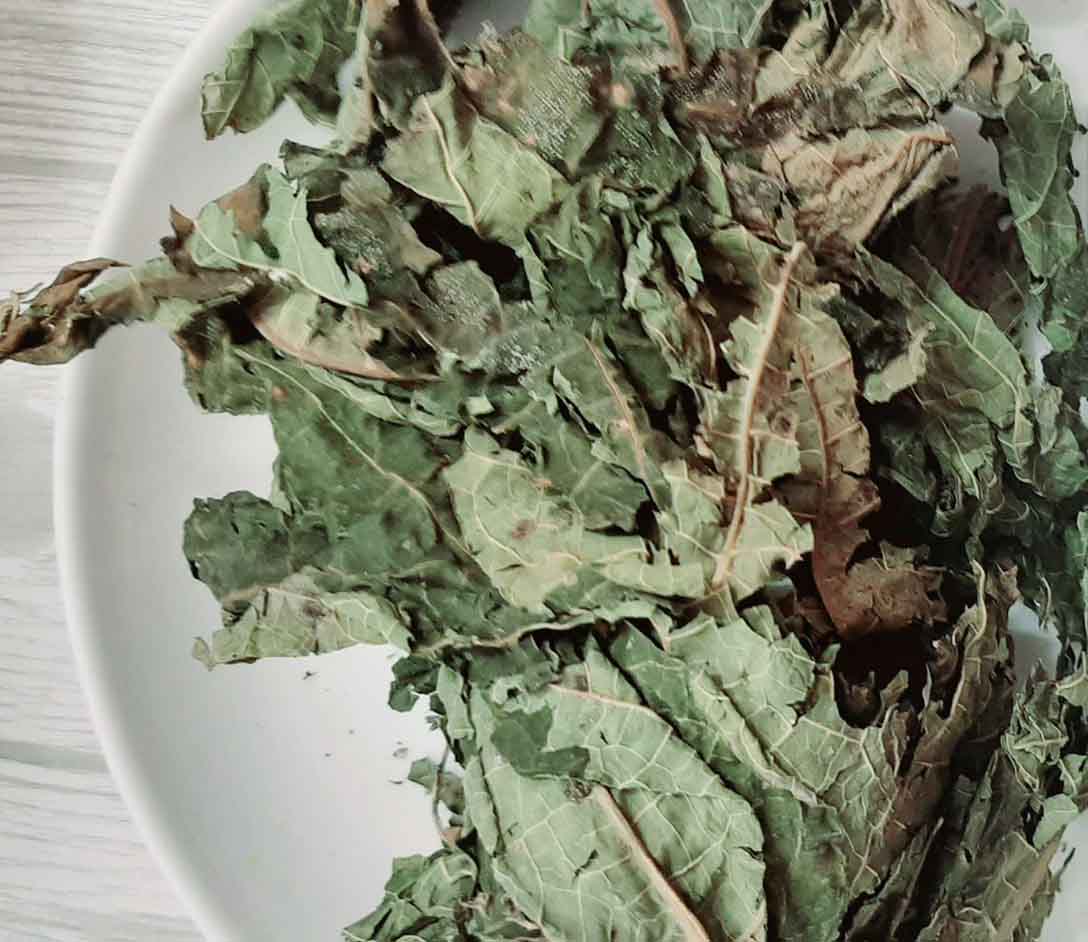 Lá đu đủ đưc khô - công ty tnhh thảo dược duy hưng
