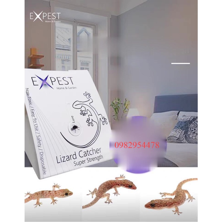 3 Miếng Keo Bẫy Thằn Lằn Keo Dính Thạch Sùng Mồi Bắt Thằn Lằn Keo Bắt Tắc Kè keo dán thằn lằn bẫy côn trùng sâu bọ thạch sùng