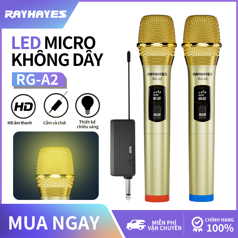Rayhayes micro không dây cho videoke ban đầu uhf chuyên nghiệp micro không dây micro cầm tay micro sạc chuyển đổi tần số