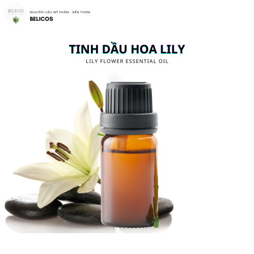 Tinh dầu hoa Lily nguyên chất Ấn Độ Tinh dầu thiên nhiên khuếch tán