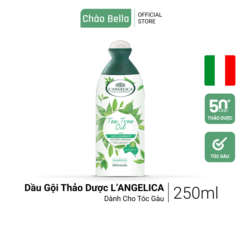 Dầu gội thảo dược ý l'angelica | dưỡng tóc, sạch gàu, ngăn rụng tóc, lưu hương lâu trên tóc