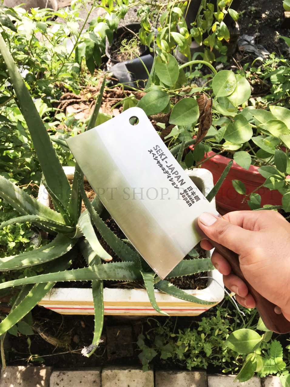 Dao chặt xương seki nhật bản