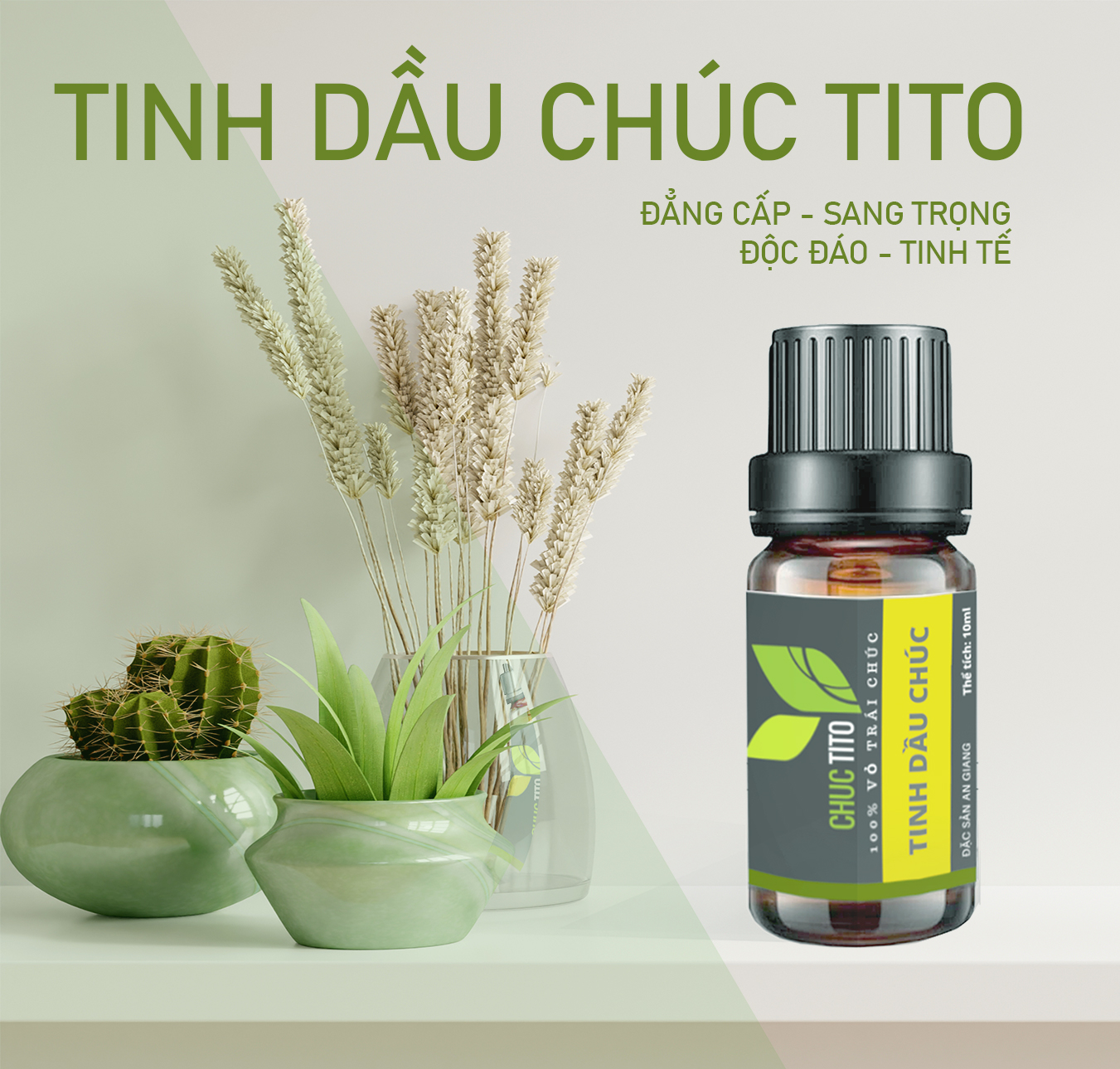 Tinh dầu trái chúc TITO