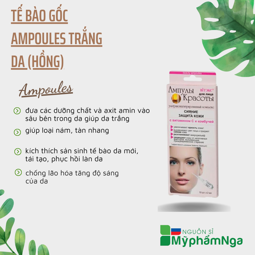 Tế bào gốc Ampoules trắng da