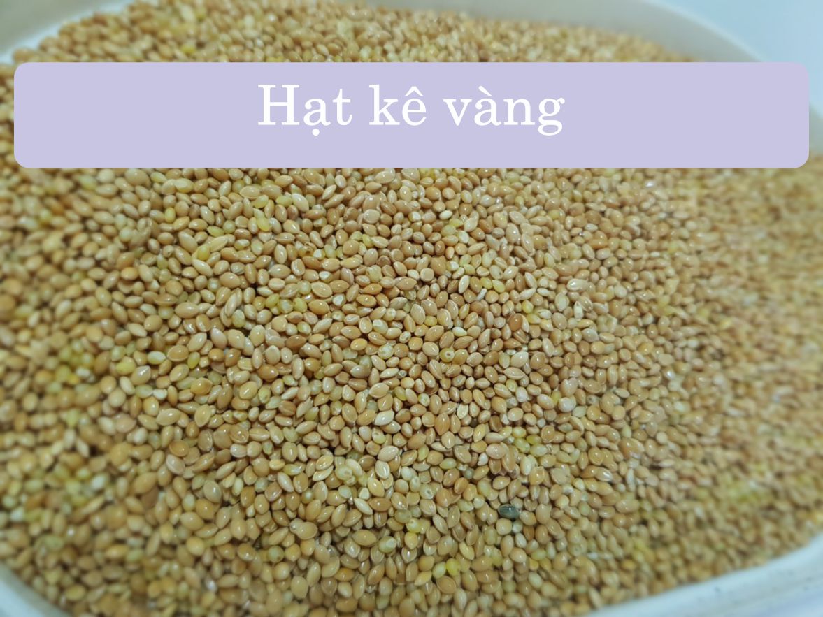 Kê vàng chưa tách vỏ cho chim, gà túi 1kg
