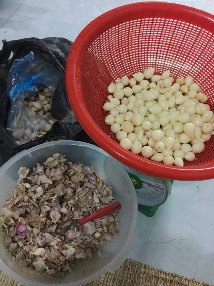 Tỏi cô đơn